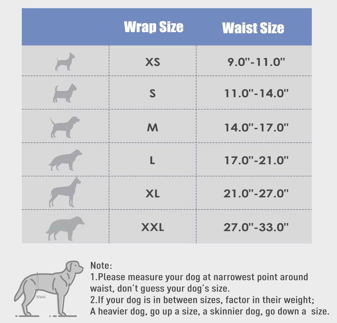 Belly Bands - Image 4